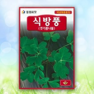 식방풍(갯기름나물)