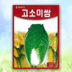 고소미쌈 배추씨앗