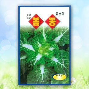 봄동