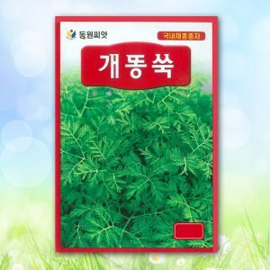 개똥쑥