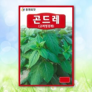 곤드레