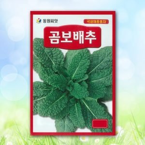 곰보배추