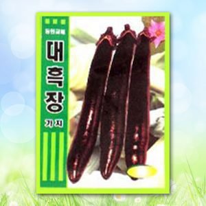 대흑장가지