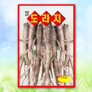 도라지