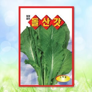 돌산갓