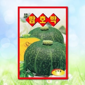 밤호박