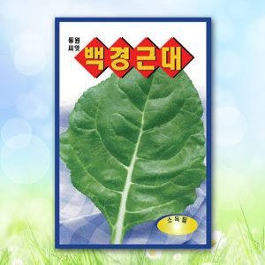백경근대