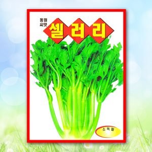 셀러리