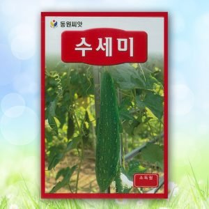 수세미