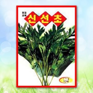 신선초