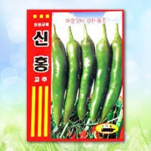 신홍고추