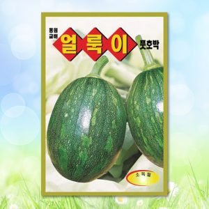 얼룩이풋호박