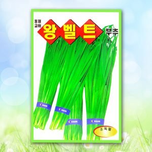 왕벨트부추