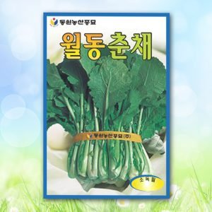 월동춘재