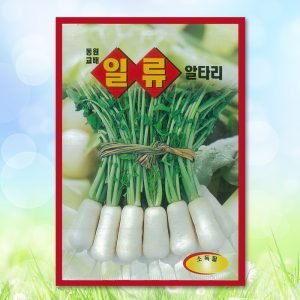 일류알타리