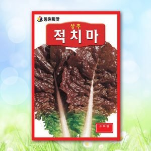 적치마상추