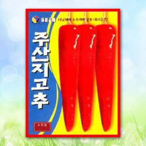 주산지고추