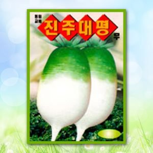 진주대평무
