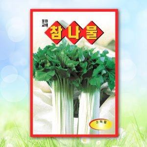 참나물