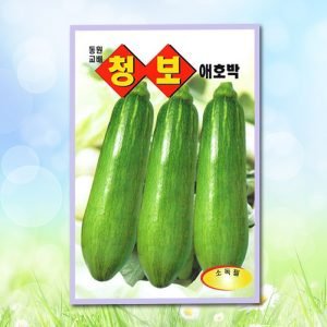 청보애호박