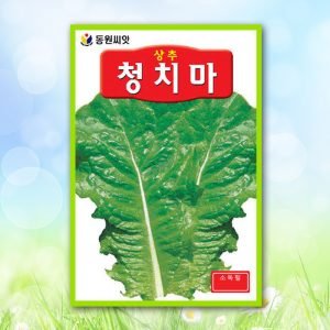 청치마상추