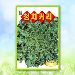 청치커리