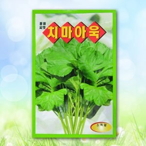 치마아욱