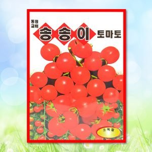 송송이토마토