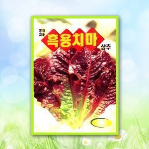 흑용치마상추